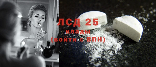 хмурый Белокуриха