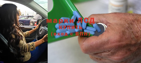 хмурый Белокуриха