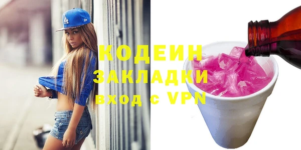 хмурый Белокуриха