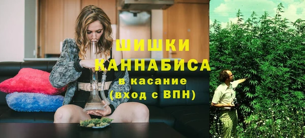 хмурый Белокуриха