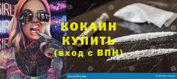 хмурый Белокуриха