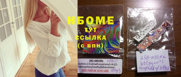хмурый Белокуриха