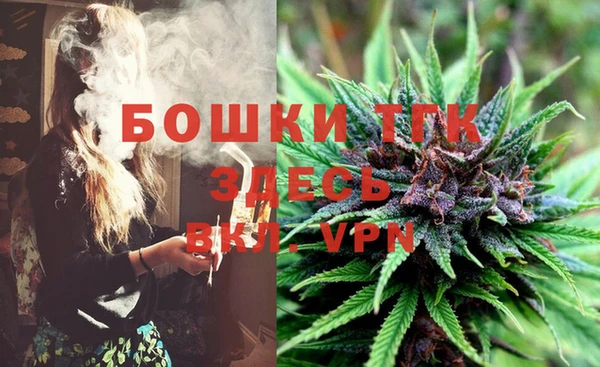 хмурый Белокуриха