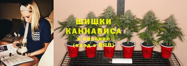 прущий лед Белоозёрский