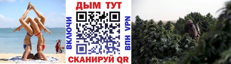 мега маркетплейс  Кяхта  Марихуана VHQ 